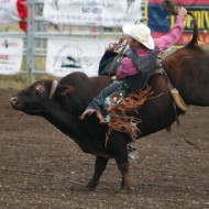 Bull-riding